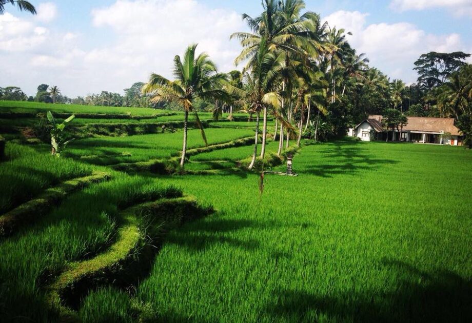 Vila Heaven Ubud 18